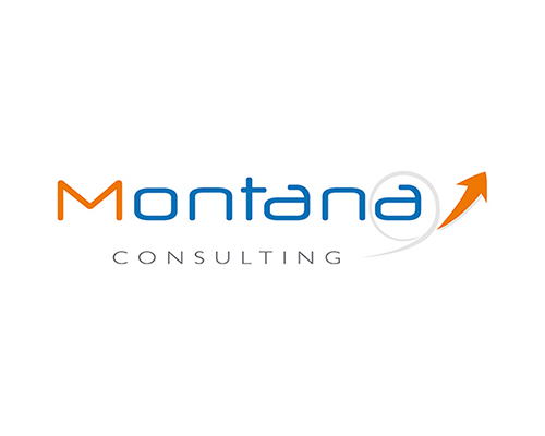 création logotype Montana consulting