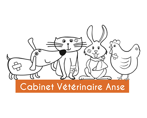 création logotype cabinet vétérinaire Anse