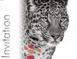 Création logotype et flyer revendeur tissus