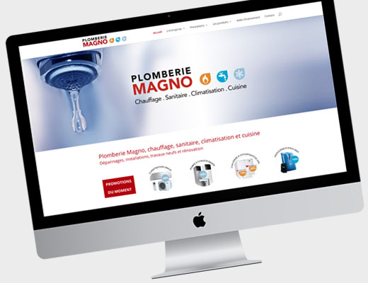 Site web Magno