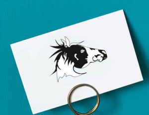 Création logotype et flyers Ekceya
